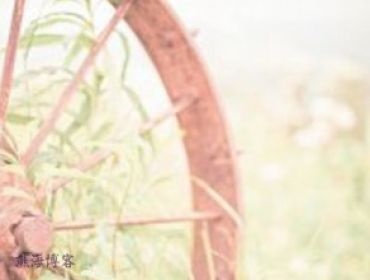 这是一篇示例文章